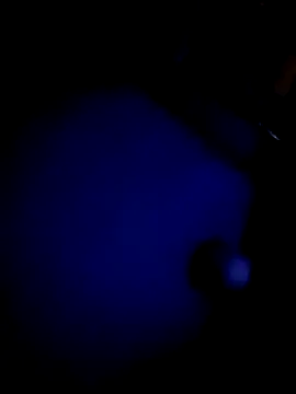 rani_sexy_telugu webcam