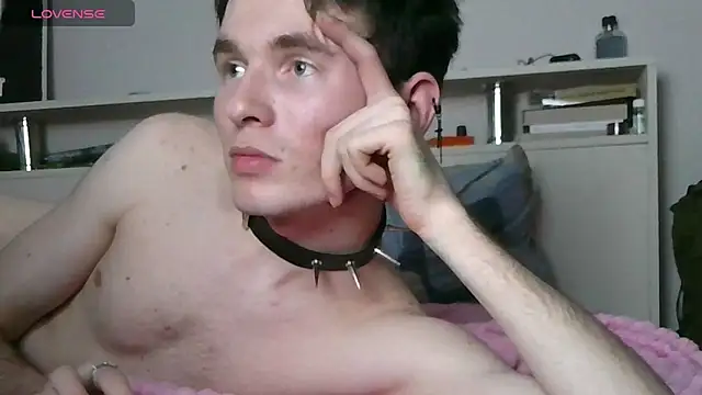 Ernest_ice webcam