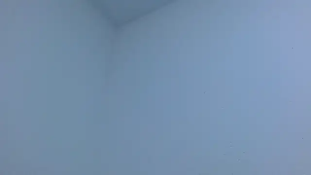 isabel_24_gil webcam