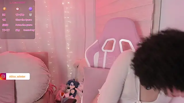 Alice_winter_ webcam