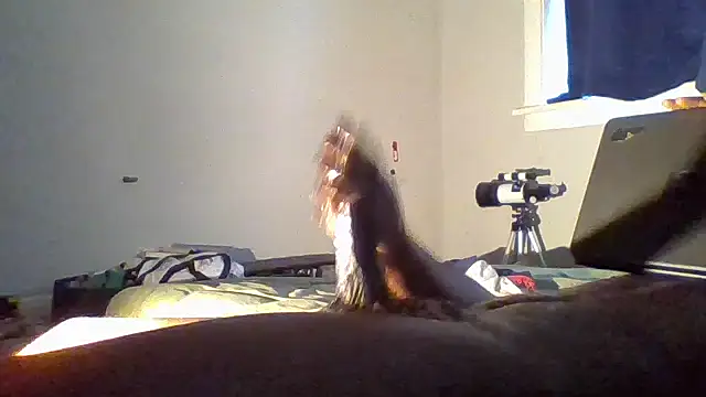 Preview of jezone555