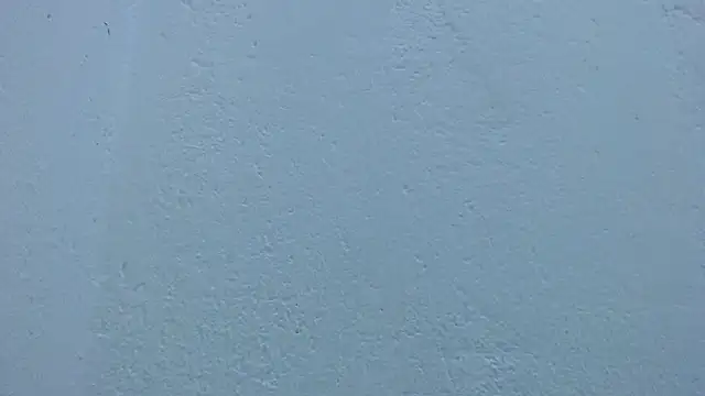 carolina_zabala_19 webcam