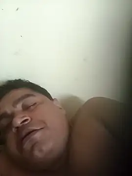 deshilnd webcam