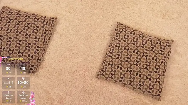 MaraBrookfieId webcam