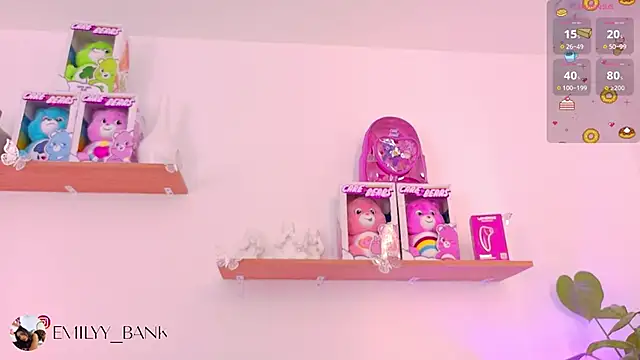emily_bank webcam