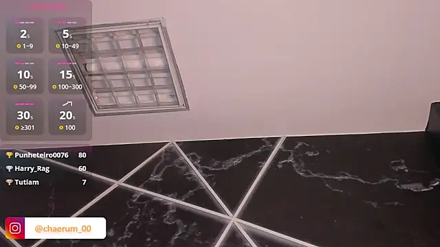 AerumChae's live cam