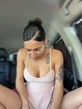 FerrariFrench webcam