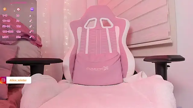 Alice_winter_ webcam