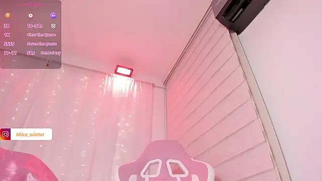 Alice_winter_ webcam