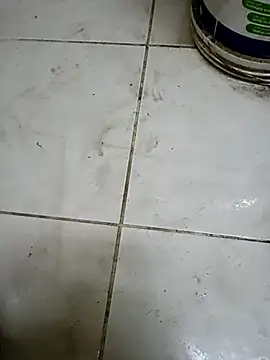 ConvoyedSubgroup webcam