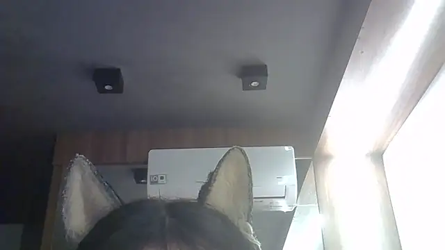 skinnykitten - SkinnyKitten's free webcam - UK Sex Cams