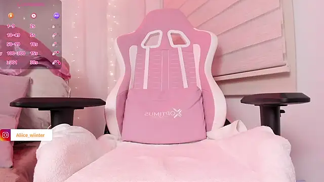 Alice_winter_ webcam