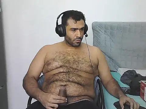 Preview of alphalatinobear