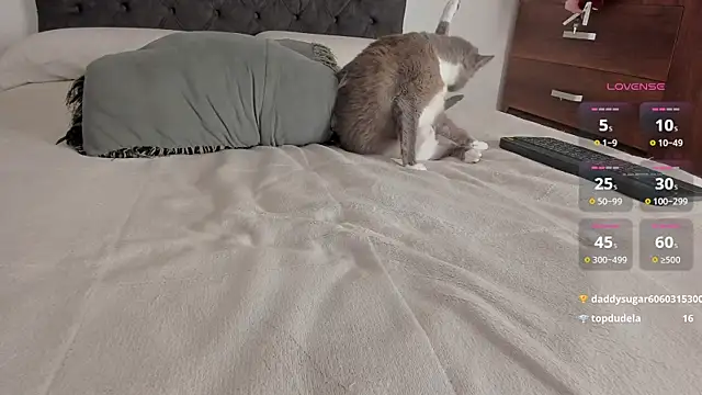 Preview of jordanmuskk