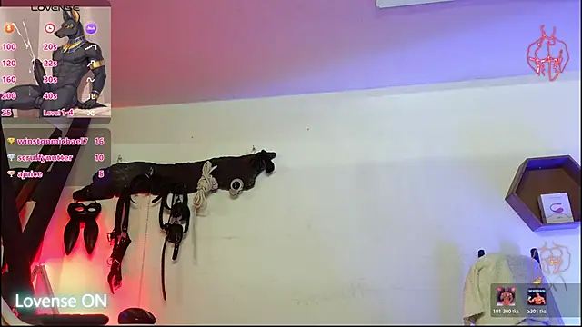 subarashi_ishi69 webcam