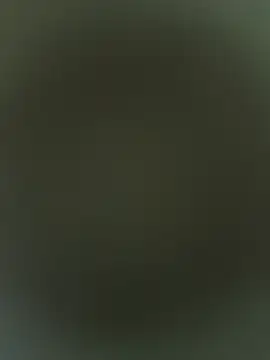 Dassing_strip_couple webcam