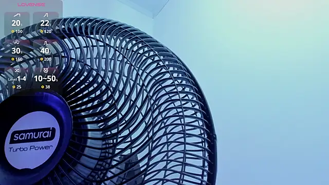 Vittoria_Conti_ webcam