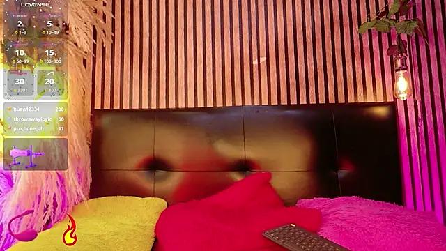 Hiddenhotcake webcam