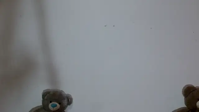 karolsweetvagi webcam