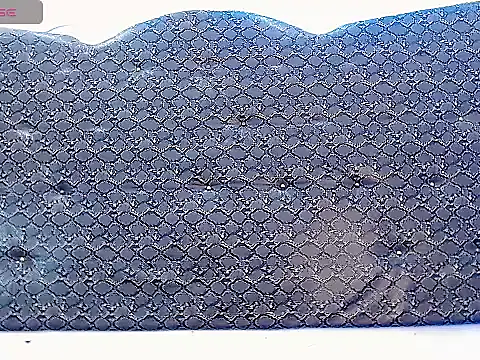 Salome_bichtxx webcam