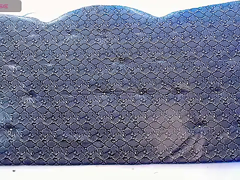 Salome_bichtxx webcam