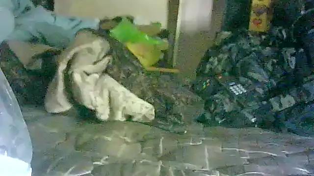 GUAPAN3S3_FIR3 webcam