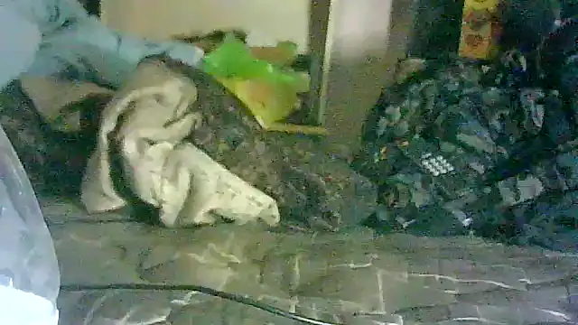 GUAPAN3S3_FIR3 webcam