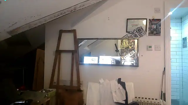 mista_sista_fista webcam