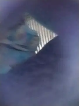 Ariell_Kieran webcam