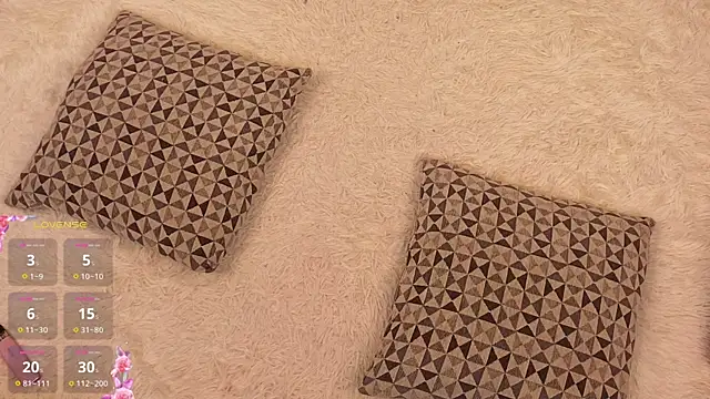 MaraBrookfieId webcam