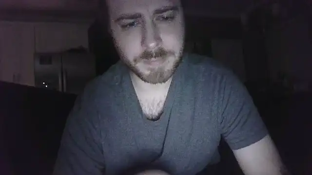 Bumblingdodger webcam