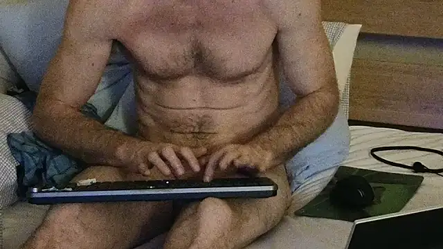 Twowellshapedheads webcam