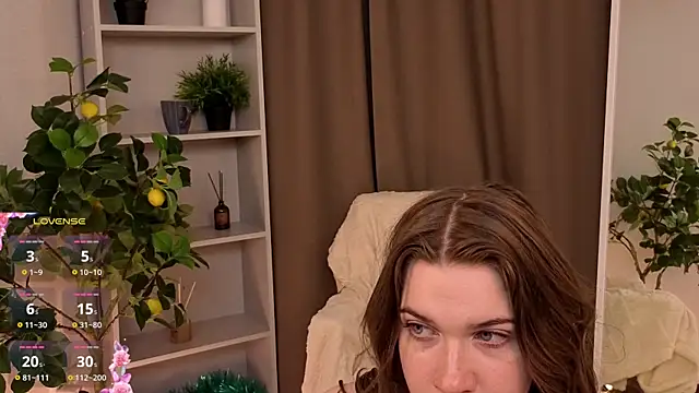 MaraBrookfieId webcam