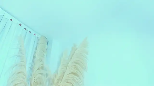 allison_01stone webcam