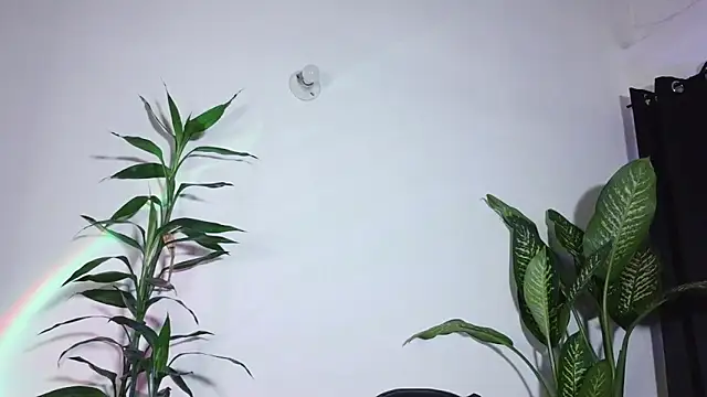 bri_von_dhara__ - Bri_von_dhara__'s free webcam - UK Sex Cams