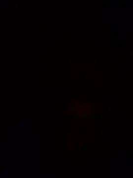 Terroristaeseerre webcam