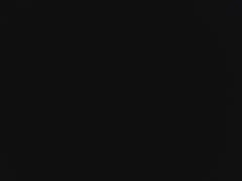 novilho18piroc avatar