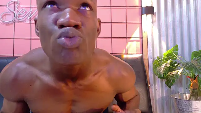 martin_killer webcam