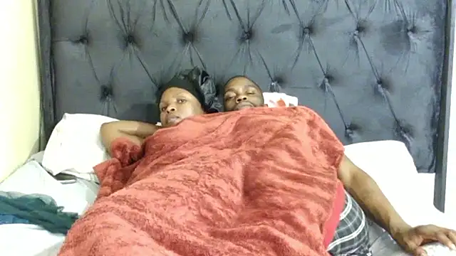 Dandelion_enigman webcam