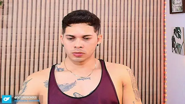 johan_speitzer webcam