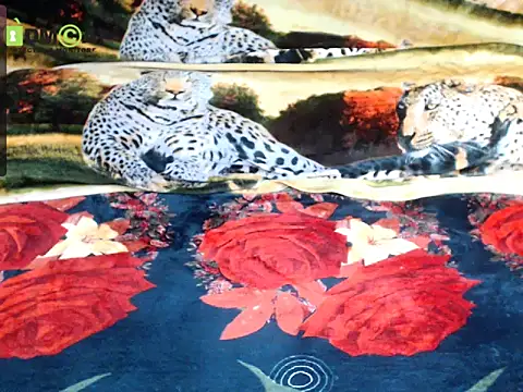 queen_sarah (Ask my age) - fuck pussy and cum