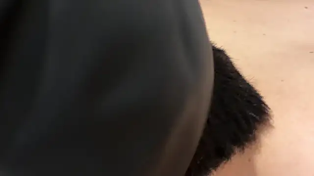 Batman_y_Pilii webcam