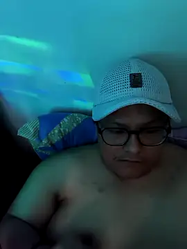 FatStriper webcam