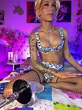 Naugth_channel_ts webcam