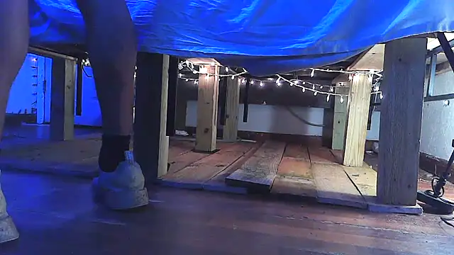 Buffshagswell webcam