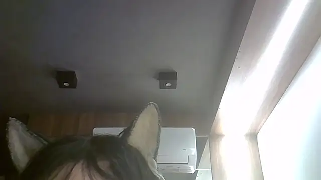 SkinnyKitten webcam