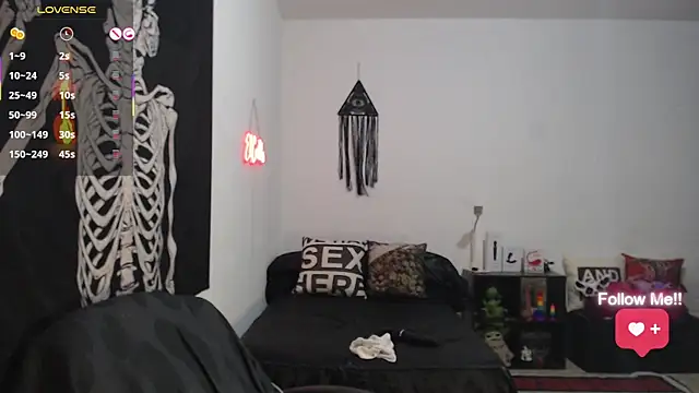 soyelcarlitos_ webcam