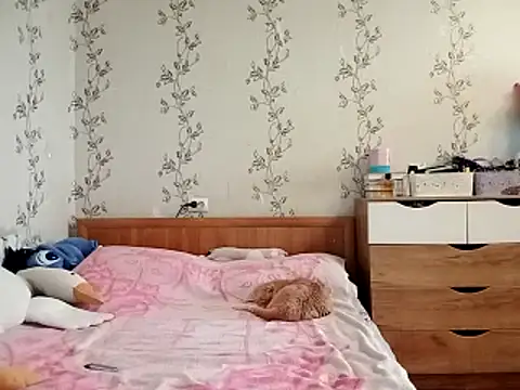 symmetryinvoid webcam