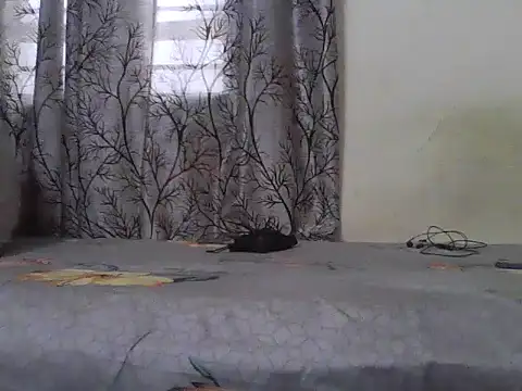 Desi_Rider_Aadi webcam