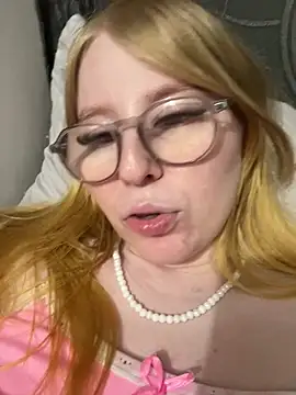 Alexa_Handler webcam